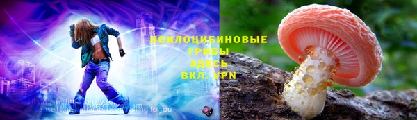 винт Армянск