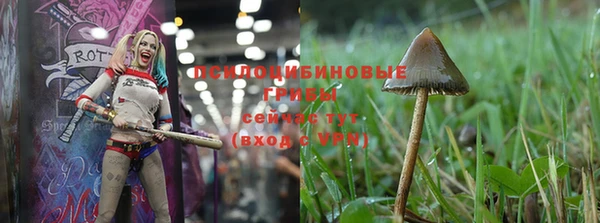 mix Аркадак