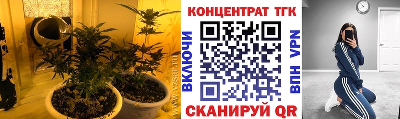закладка  Ядрин  ТГК гашишное масло 